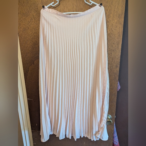 Banana Republic Soft Pink Pleated Maxi Skirt - Picture 1 of 6